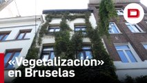 Promueven en Bruselas la «vegetalización» de las calles