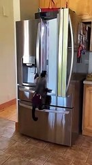 Good Morning what’s for breakfast