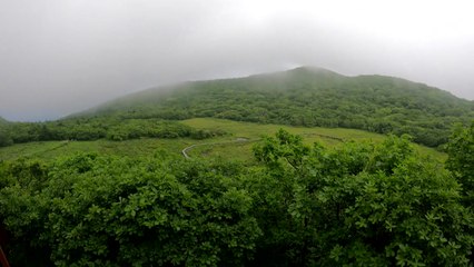 "용이 쉬어가던 곳"...람사르 습지 1호, 대암산 용늪 / YTN