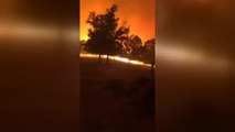 25 mil hectáreas quemadas en el incendio de la sierra de la Culebra