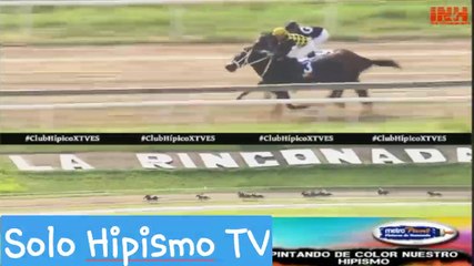 ROYHALLADAY  - 6ta Carrera La Rinconada - R25  |  19/06/2022