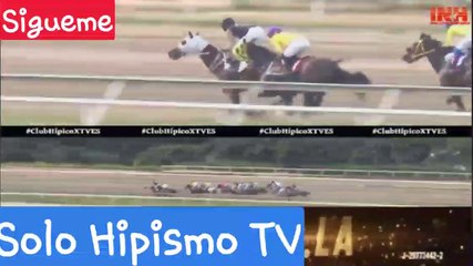 LADY PIANIST - 11va Carrera La Rinconada - R25 |  19/06/2022