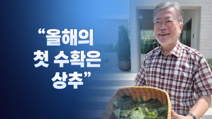 [뉴스라이브] "잊히고 싶다"던 文, SNS '일상 공개' 활동 재개 / YTN