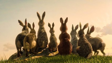 Unten am Fluss - Watership Down - Düsterer Trailer zur Trickserie von Netflix und BBC nach dem Romanklassiker