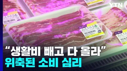 "생활비 빼고 다 올랐다"...대형마트도 물가 안정화 동참 / YTN