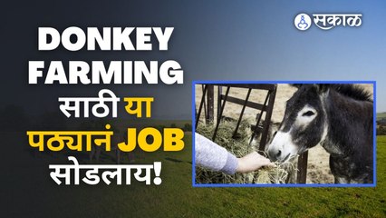 एका 'Donkey Farm'ची गोष्ट ! | Srinivas Gowda | Sakal Media | Donkey Farming