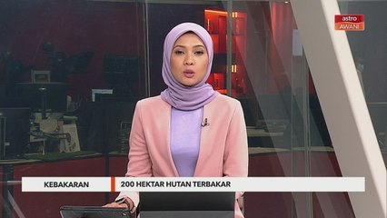 Kebakaran | 200 hektar hutan terbakar