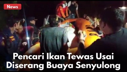 Pencari Ikan Tewas Usai Diserang Buaya Senyulong !!