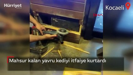 Mahsur kalan yavru kediyi itfaiye kurtardı