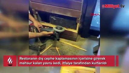 Mahsur kalan yavru kediyi itfaiye kurtardı