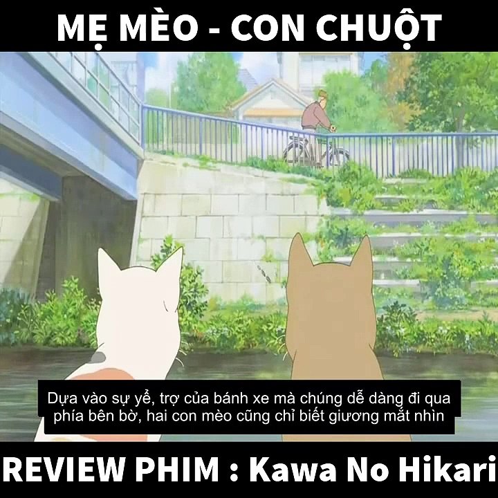 Kawa no Hikari