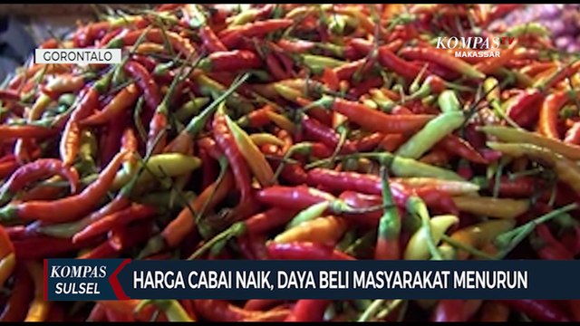 Terus Melonjak,Harga Cabai Rawit Tembus Rp 110 Ribu Perkilogram di Gorontalo
