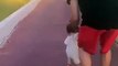 Γιώργος Σαμαράς: Το πιο τρυφερό βίντεο με την κόρη του που κάνει τα πρώτα βήματά της!