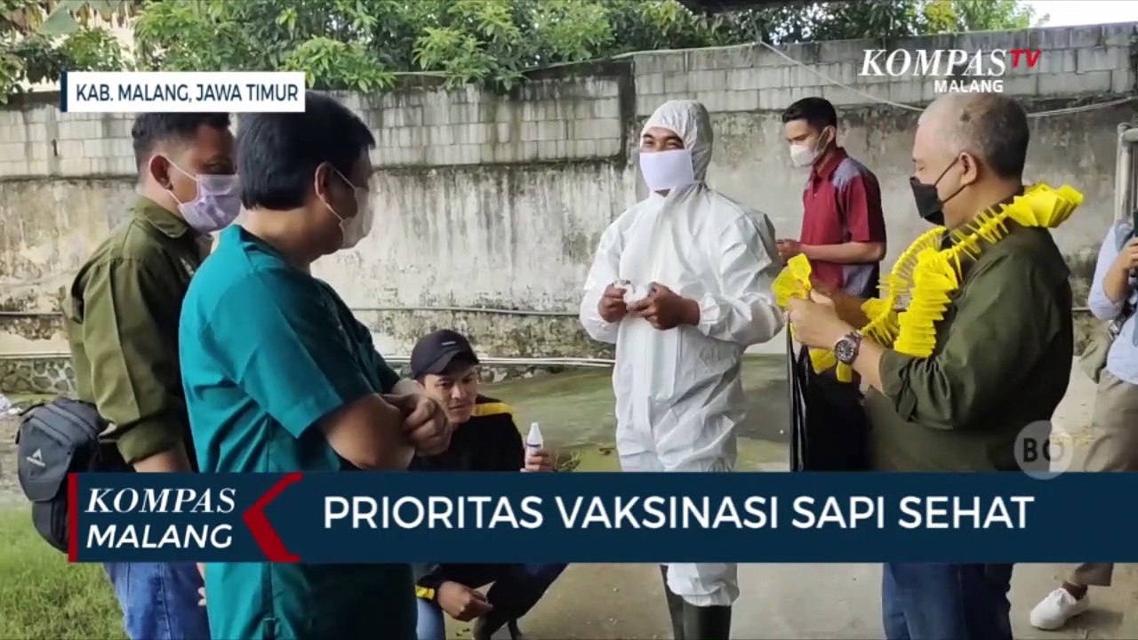 Vaksinasi PMK Kabupaten Malang Mulai Digelar