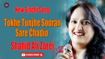 Tokhe Tunjhe Sooran Sare Chadio | Shahid Ali Zarei | New Sindhi Song | Sindhi Gaana