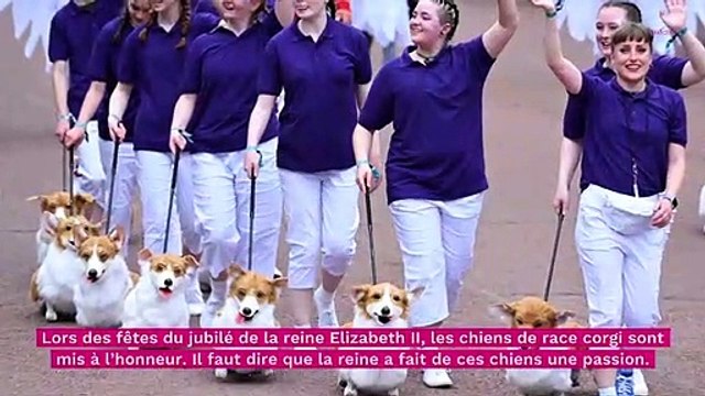 Elizabeth II : ce rituel déchirant qui prouve qu’elle aime ses chiens plus que tout