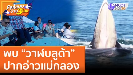 พบ "วาฬบลูด้า" ปากอ่าวแม่กลอง (20 มิ.ย. 65) คุยโขมงบ่าย 3 โมง