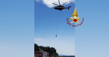 Gagliato (CZ) - Soccorsi con un elicottero due vitelli scivolati in un dirupo  (20.06.22)