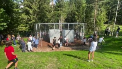 Arcangelo Sassolino da Arte Sella: tecnologia come natura