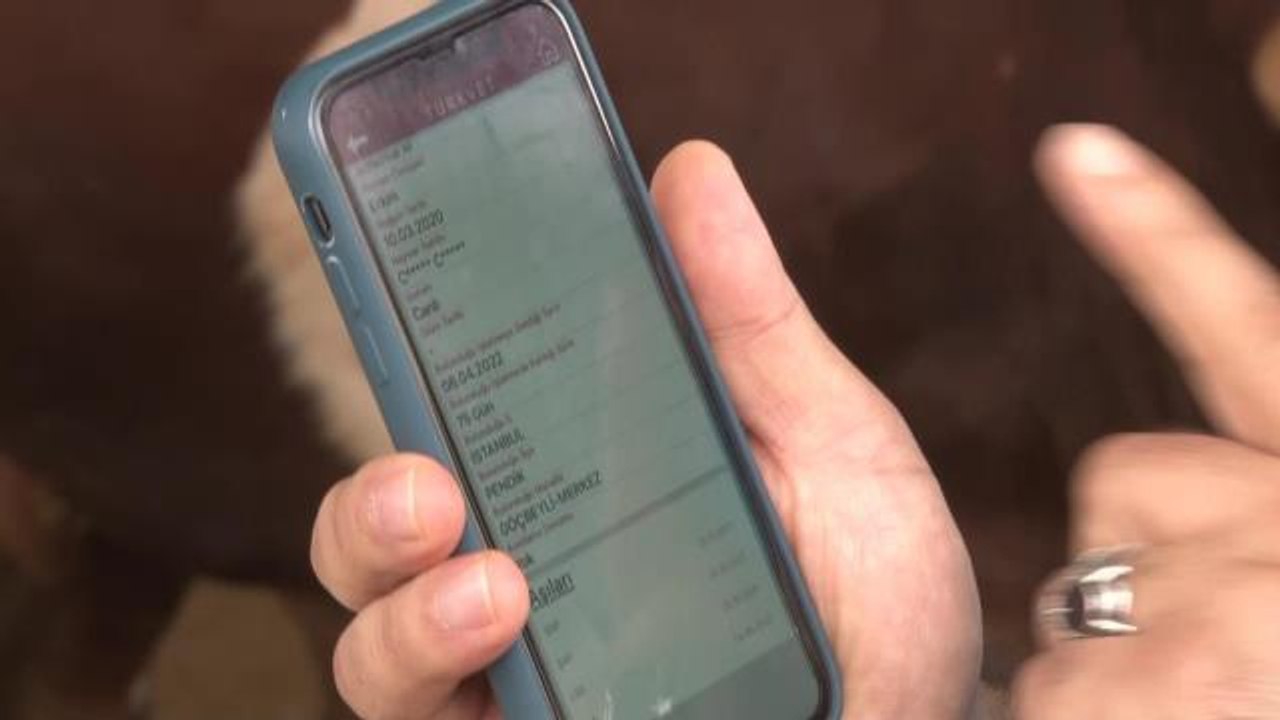 İstanbul İl Tarım Müdürü Ahmet Yavuz Karaca; "Vatandaşlar TÜRKVET uygulaması üzerinden hayvanın tüm bilgilerini görebilir"