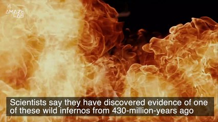 Experts Discover Evidence of Possibly the World’s Oldest Wildfire