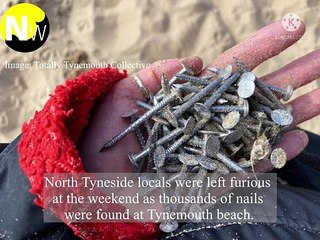Nails found at Tynemouth beach
