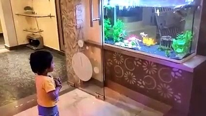 Machhli Jal ki rani Hai, Baby Playing with Fish