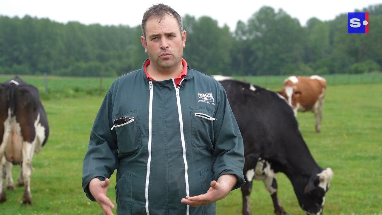 Quelle est la différence entre le lait entier et le lait demi écrémé?