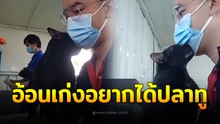น้องดำเจ้าเหมียวประจำที่ทำงาน อ้อนเก่งม๊ากอยากได้ทูสุดๆ