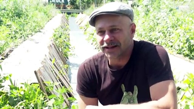 Прошлое и будущее венских улиток