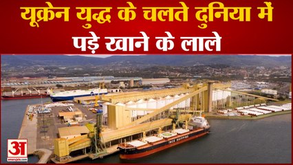 यूक्रेन युद्ध के चलते दुनिया में पड़े खाने के लाले दुनिया भर के विकासशील देशों में खाद्य संकट