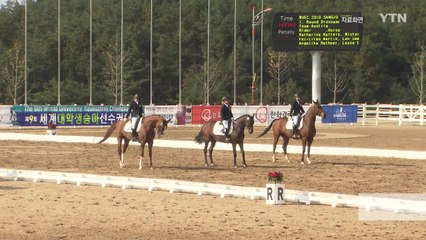 [경북] 경북 상주서 제1회 경북도지사배 전국승마대회 개최 / YTN