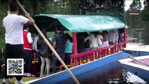 Xochimilco lanza un grito de auxilio por aguas negras y hedor