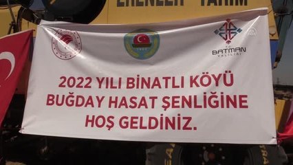 Buğday hasat şenliği düzenlendi