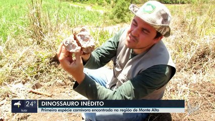 DINOSSAUURO CARNÍVORO EM MONTE ALTO