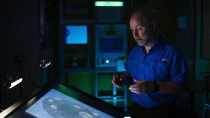 APOCALIPSE DOS DINOSSAUROS