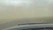 Person Drives in Decreased Visibility Due to Dust Storm