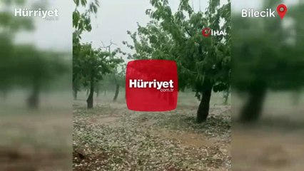 Video herunterladen: Fındık büyüklüğünde yağan dolu meyve ağaçlarına zarar verdi