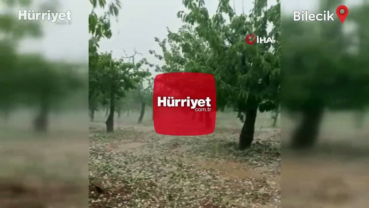 Fındık büyüklüğünde yağan dolu meyve ağaçlarına zarar verdi