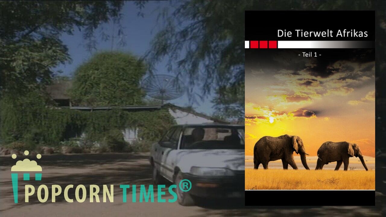 Die Tierwelt Afrikas Teil 1 (Wildlife) | Ganzer Film auf Deutsch (Full Movie, Stream)