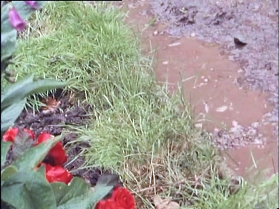 The Adventures of Sherlock Holmes  S07E03 - The Golden Pince-Nez