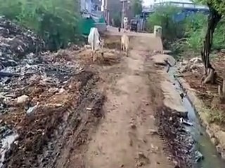 monsoon: मानसून की दस्तक, बड़े नालों को सफाई का इंतजार-video