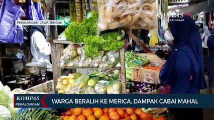 Dampak Cabai Mahal, Warga Beralih ke Merica