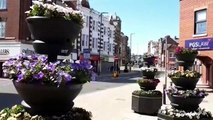 Plants stolen from town centre planters in South Shields