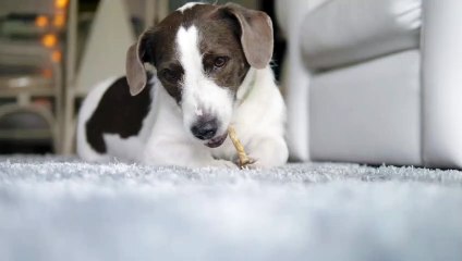 It tastes so good, it makes me hungry