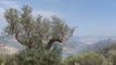 Calabria - Incendi nel Crotonese, decine di interventi dei Vigili del Fuoco (20.06.22)