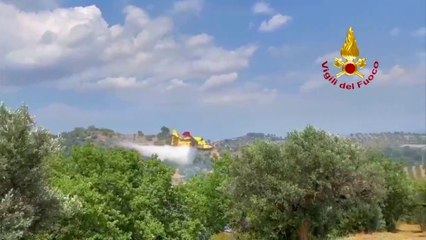 Incendi boschivi nel crotonese, canadair in azione