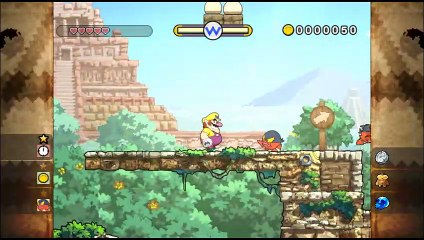 Wario Land : The Shake Dimension online multiplayer - wii