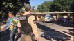 Detuvieron a un sujeto agresivo y con un arma de fuego en el Panteón Guadalajara