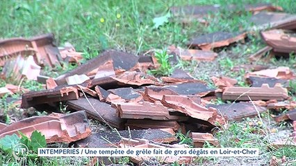 INTEMPERIES / Une tempête de grêle fait de gros dégâts en Loir-et-Cher